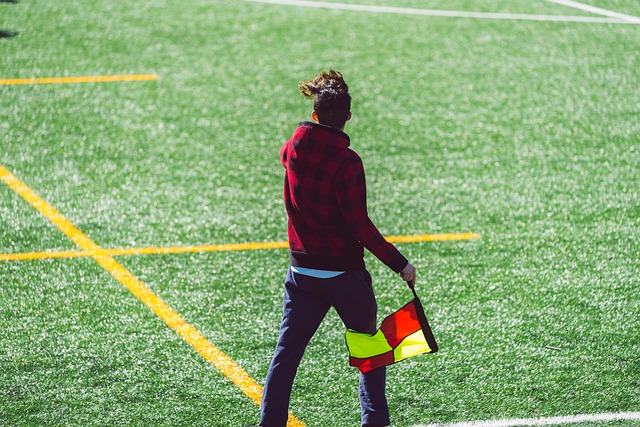 歐洲足球迷 歐洲足球迷