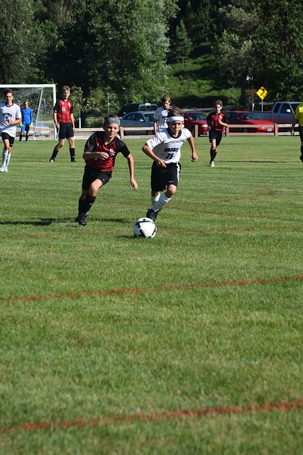 出的努力 出的努力