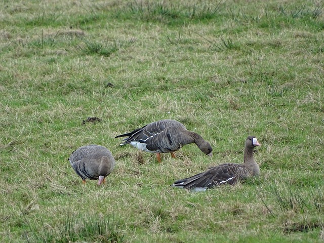 保障公共卫 保障公共卫
