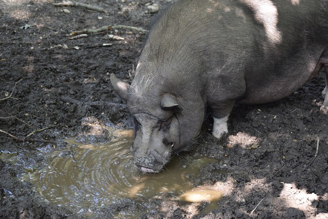 件和平台 件和平台
